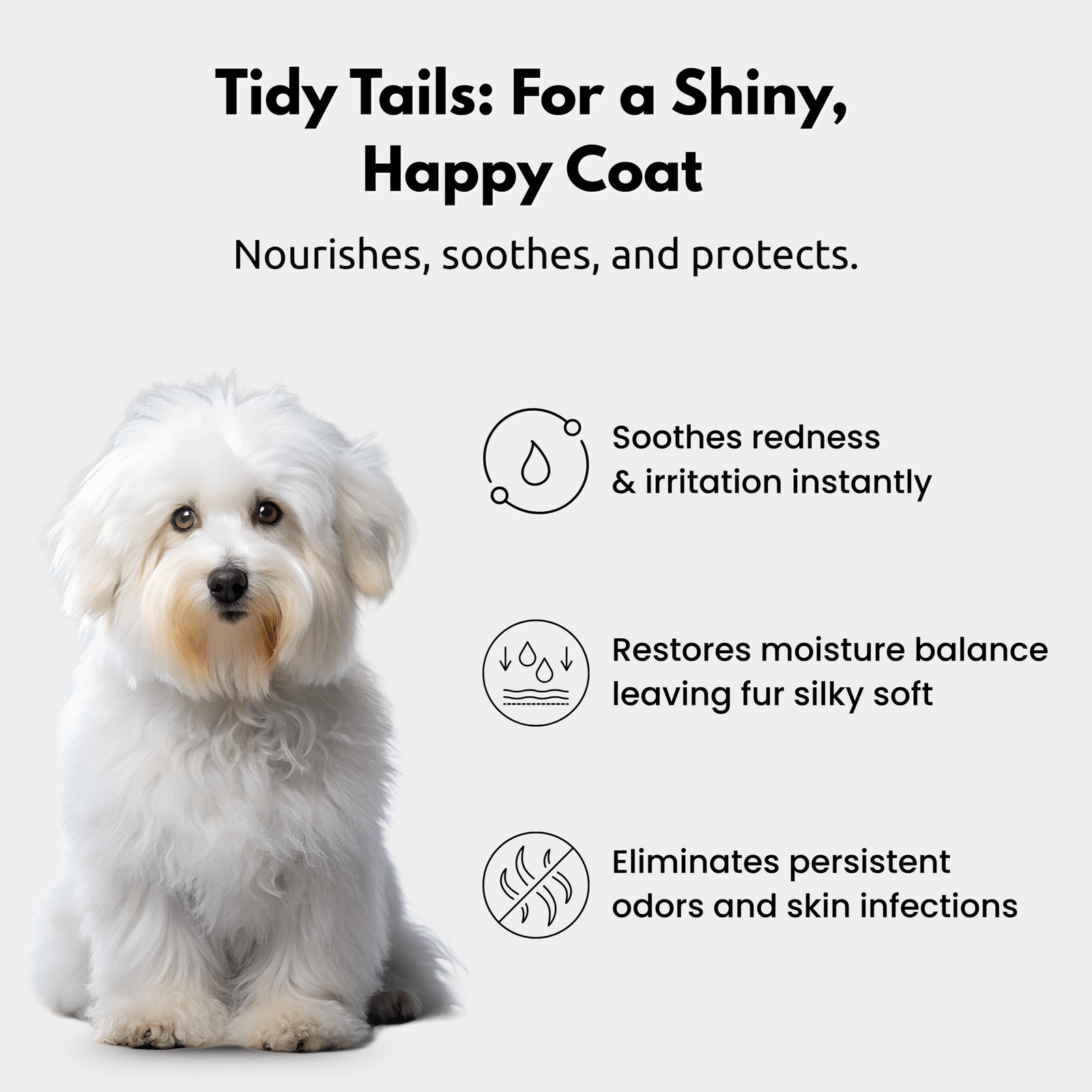 Tidy Tails Shampoo - Image 4