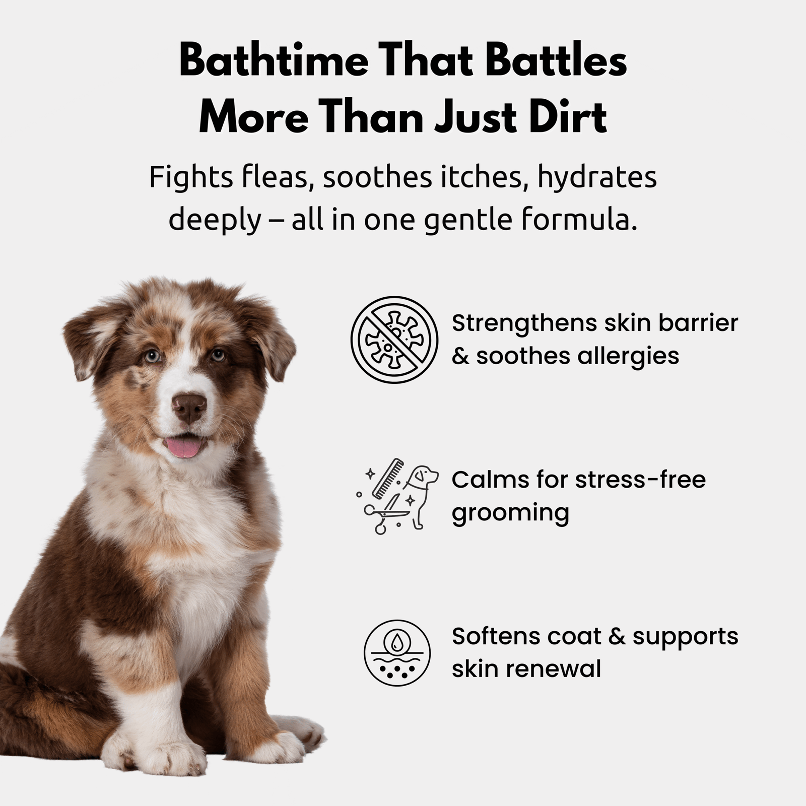 Herbal Pet Shampoo 4-in-1 - Image 4