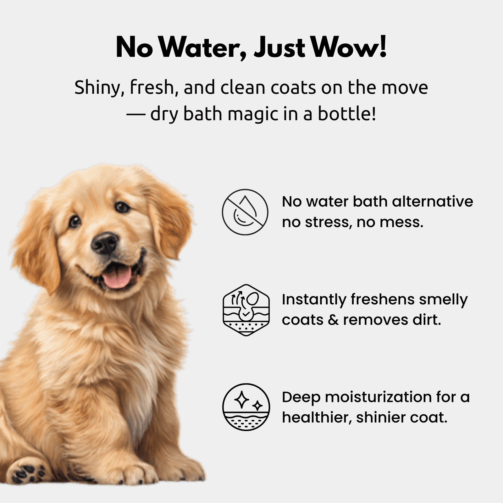 Gloss & Glow Pet Dry Bath Spray - Image 4