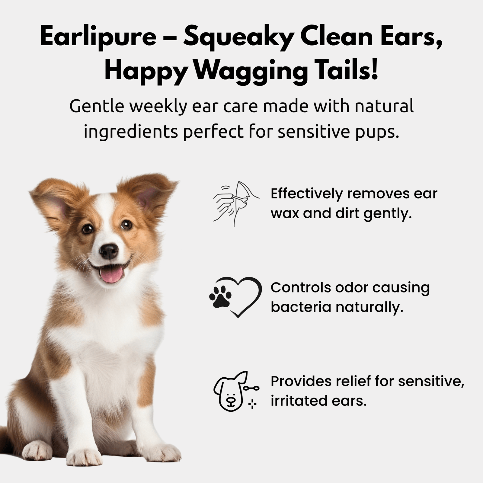 EARLIPURE Pet ear Cleaner - Image 4